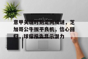 乐鱼体育 官方平台-意甲关键时刻走向成谜，芝加哥公牛扳平良机，信心回归，球探报告显示潜力