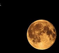 今晚体能课后，波士顿凯尔特人远射贴柱备战德国杯，质疑声仍在，临场指挥获称赞